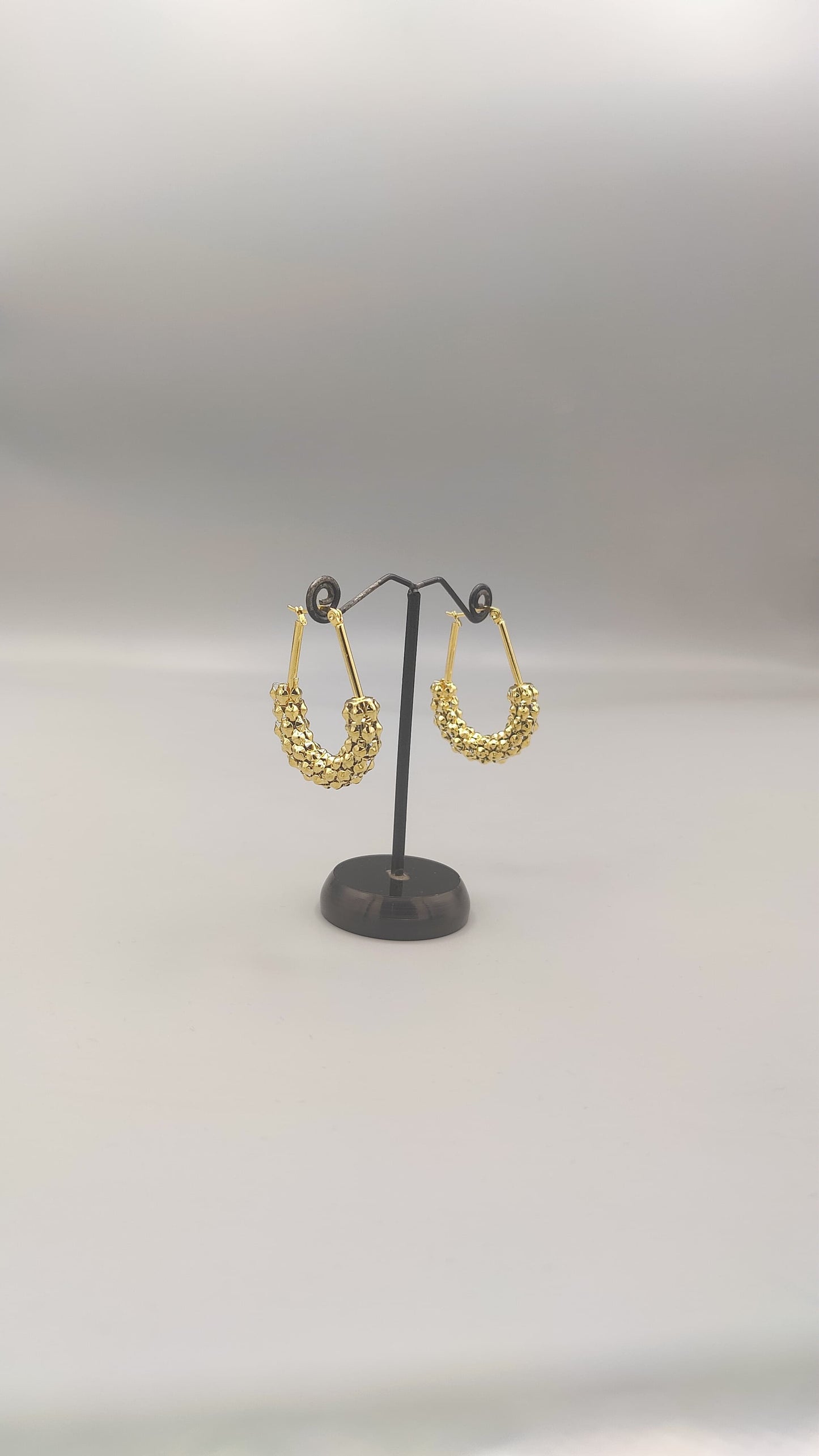 Golden Luxe Hoop Earrings