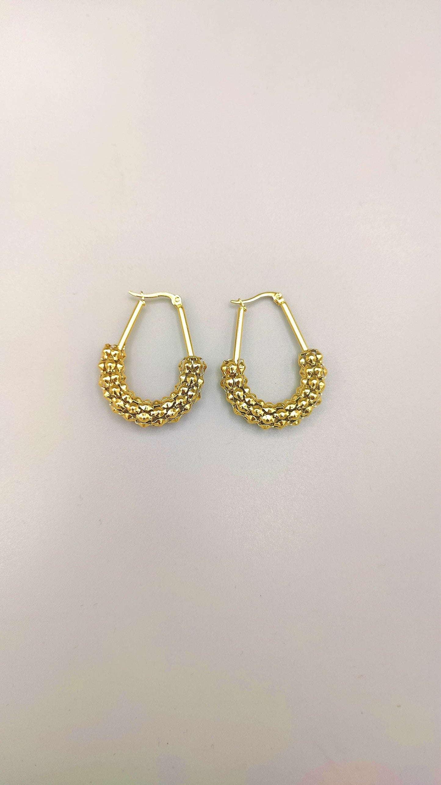 Golden Luxe Hoop Earrings