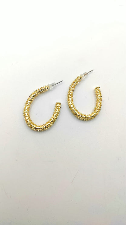Sunlit Charm Earrings